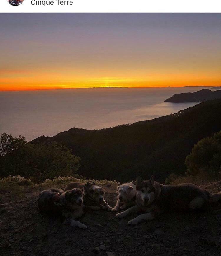 La Casa Di Zahra Appartement Riccò del Golfo di Spezia Buitenkant foto